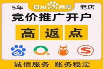 落地页在SEM优化中的重要性及成功案例